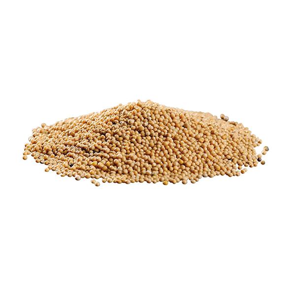 Senapsfrö gul hel 1kg. påse