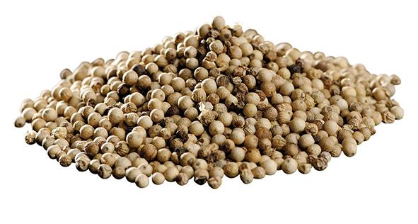 Vitpeppar hela 25kg. säck