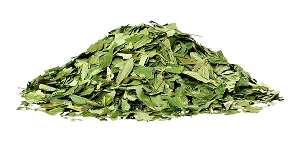 Ekologisk Ramslök 5kg. säck