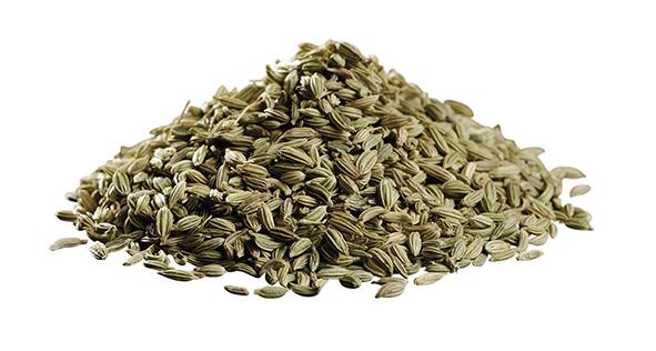 Ekologisk Fänkål hel 25kg. Säck