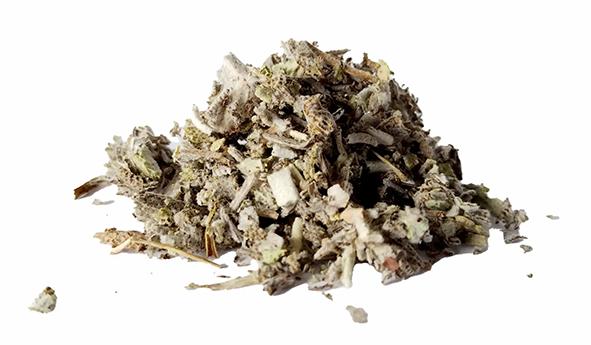 Ekologisk Salvia 8kg. säck