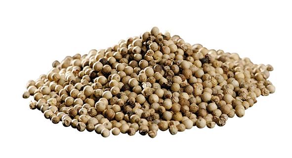 Ekologisk Vitpeppar hel 25kg. säck